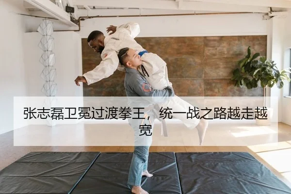 zhang-zhi-lei-wei-mian-guo-du-quan-wang-tong-yi-zhan-zhi-lu-yue-zou-yue-kuan-2-735.jpg